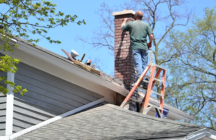 Chimney & Fireplace Inspections Services in Temple Terrace, FL